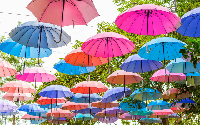 Umbrellas line trees sky ecological free wallpaper - medium preview image