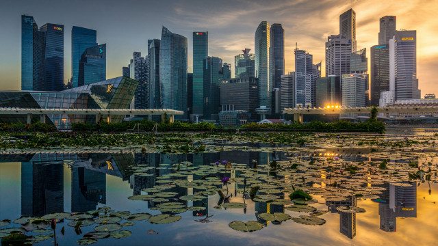 City skyline lake lily pads free wallpaper - medium preview image