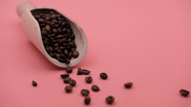 Beans spilling pink background seeds free wallpaper - medium preview image