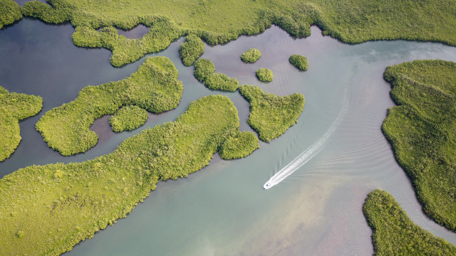 Boat river green trees bascove free wallpaper - medium preview image