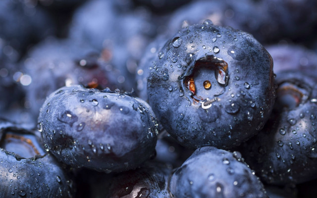Blueberries water drops black background free wallpaper - medium preview image