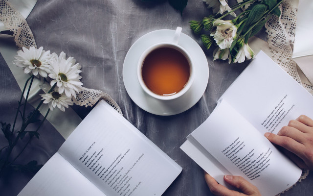 Person reading book tea flowers free wallpaper - medium preview image