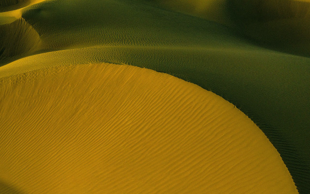 Desert sand dunes barren trees free wallpaper - medium preview image