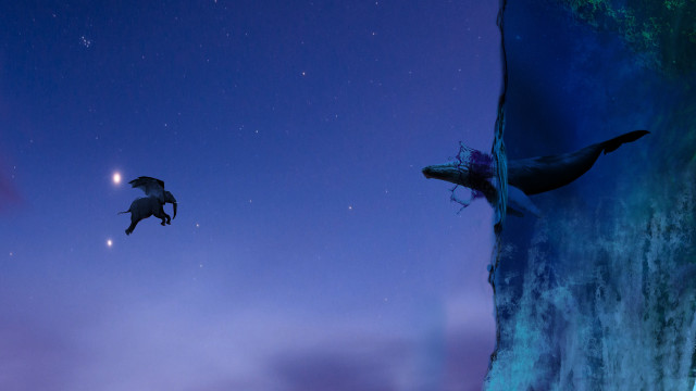 Birds cliff purple sky crescent free wallpaper - medium preview image