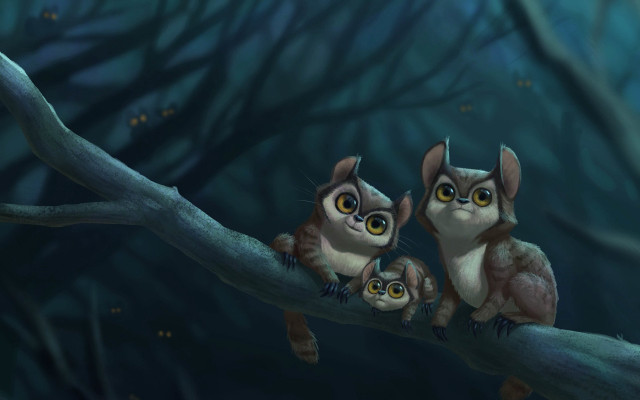 Two owls branch wide eyed free wallpaper - medium preview image