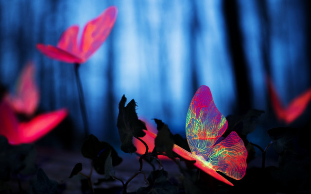 Pink flower glowing forest blue free wallpaper - medium preview image