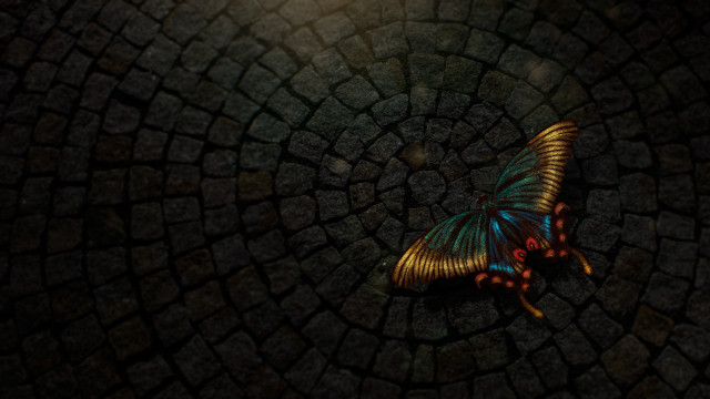 Butterfly stone floor night light free wallpaper - medium preview image