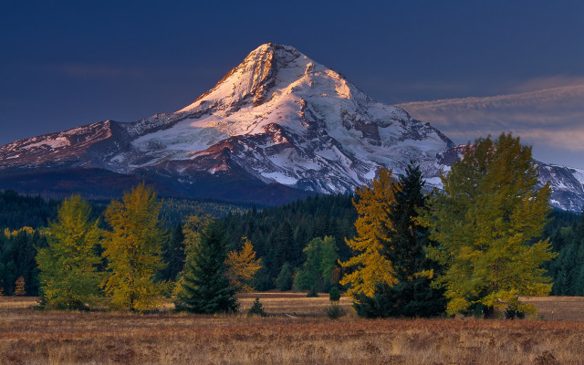 Mountain snowcapped forest lake sunset free wallpaper - medium preview image