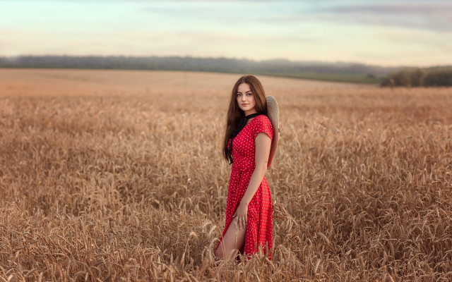 Woman red dress wheat field #6 free wallpaper - medium preview image