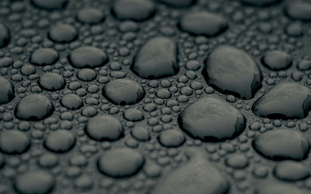Water droplets black white macro free wallpaper - medium preview image