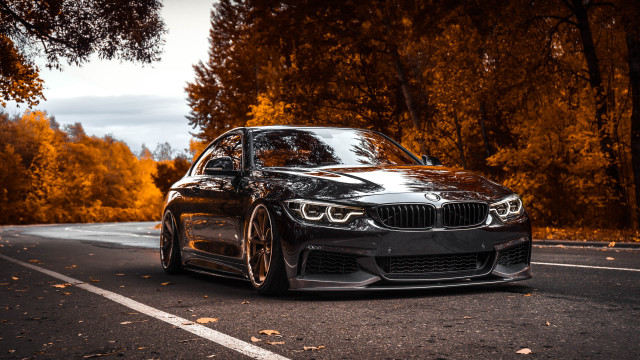 Black car orange leaves forest free wallpaper - medium preview image