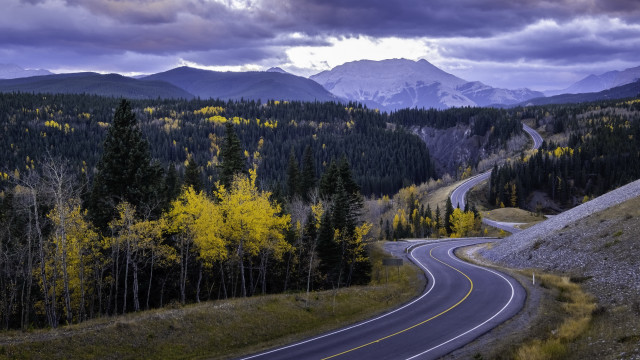 Winding road forest mountains clouds free wallpaper - medium preview image