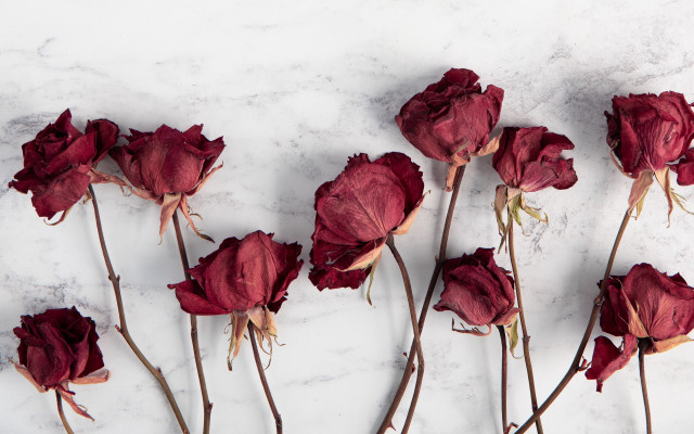 Red flowers white table marble free wallpaper - medium preview image