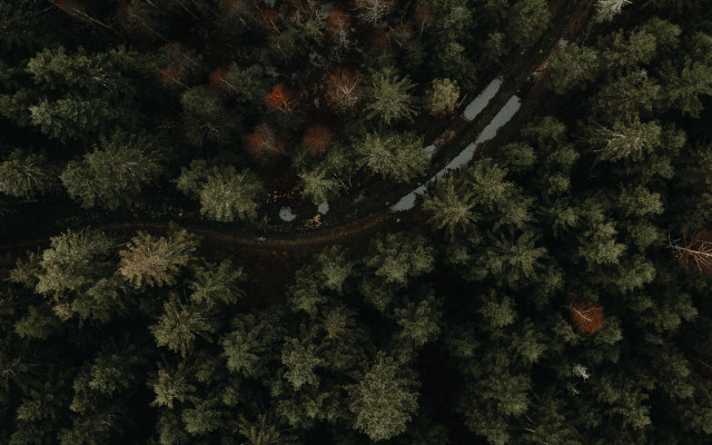 Above forest snowy road autumn free wallpaper - medium preview image