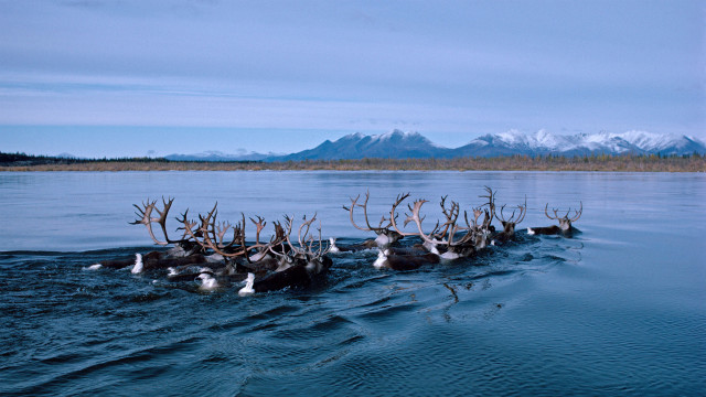 Reindeer lake mountains clouds ecological free wallpaper - medium preview image