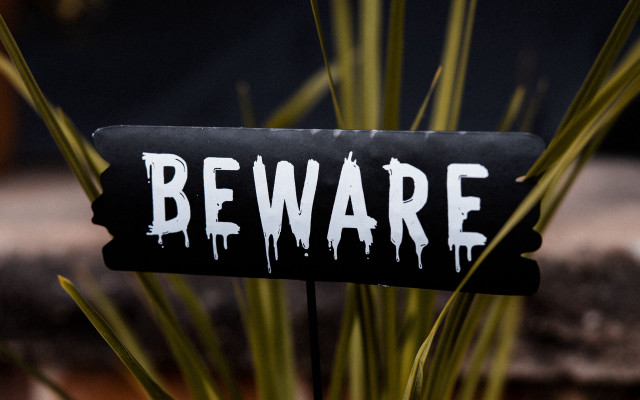 Beware plant shock art fear free wallpaper - medium preview image