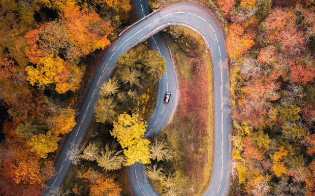 Car winding road autumn forest free wallpaper - medium preview image