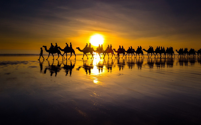 Camel riders beach sunset portrait free wallpaper - medium preview image