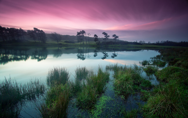 Lake sunset forest bush water free wallpaper - medium preview image