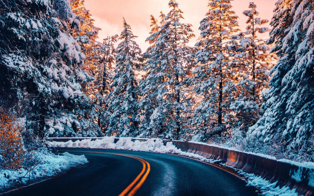 Winter forest sunset starry sky free wallpaper - medium preview image