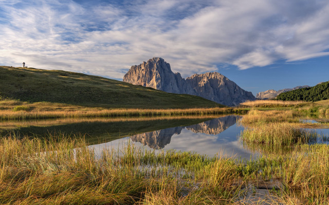 Mountain lake grassy field trees free wallpaper - medium preview image