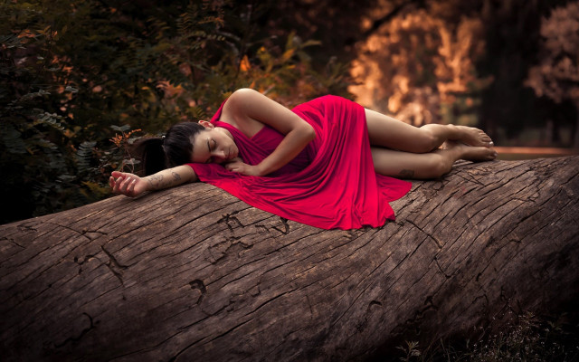 Woman red dress lying woods free wallpaper - medium preview image