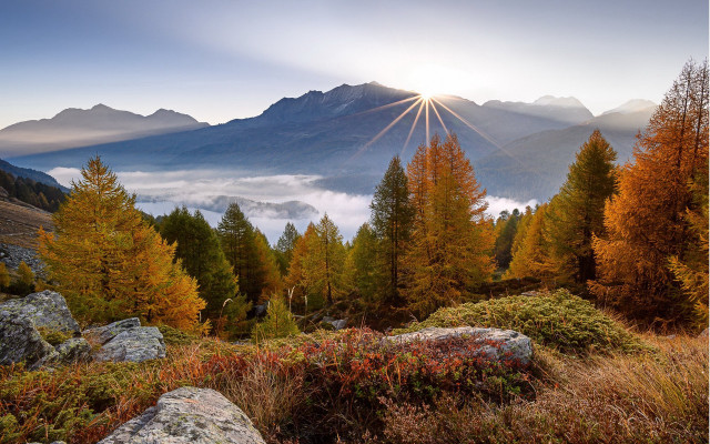 Mountain sunburst autumn leaves forest free wallpaper - medium preview image