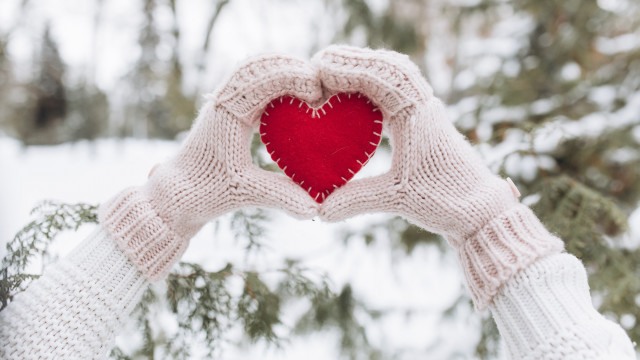 Romantic snowy heart hands pine free wallpaper - medium preview image