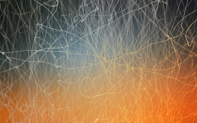 Blurry tree autumn leaves fence free wallpaper - medium preview image