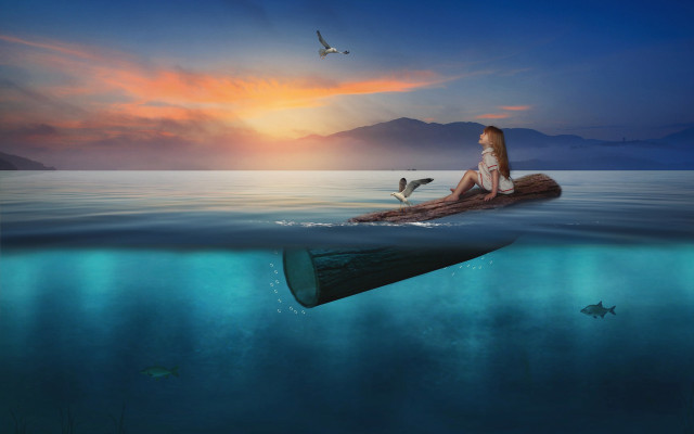 Woman raft ocean bird boat free wallpaper - medium preview image