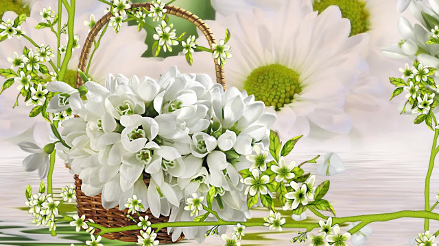 White flowers basket table floral free wallpaper - medium preview image