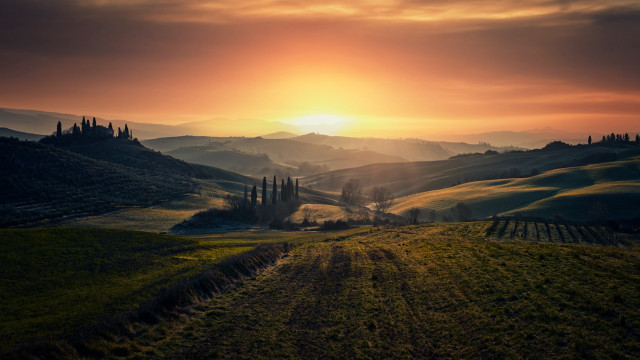Sunset hilly countryside trees horizon free wallpaper - medium preview image