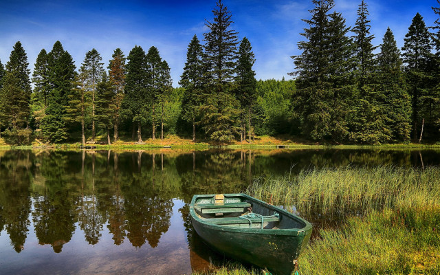 Small boat lake forest sunny free wallpaper - medium preview image