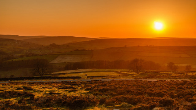 Sunset hilly countryside horse distant free wallpaper - medium preview image