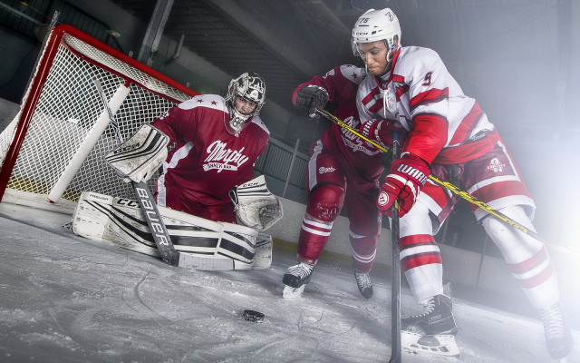 Hockey players ice rink net free wallpaper - medium preview image