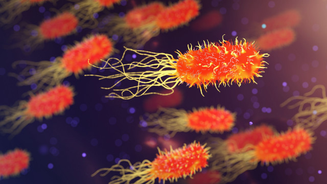 Red yellow cells purple background free wallpaper - medium preview image