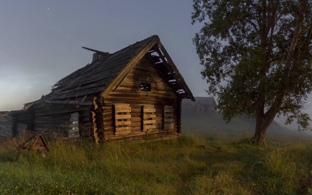 Small cabin foggy field tree free wallpaper - medium preview image