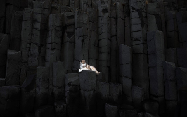 Dog rock formation dark black free wallpaper - medium preview image