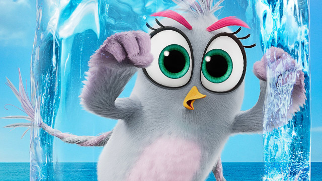 Cartoon animal ice block beak free wallpaper - medium preview image