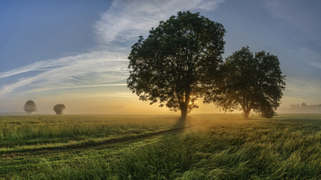 Field trees sunset clouds nature free wallpaper - medium preview image