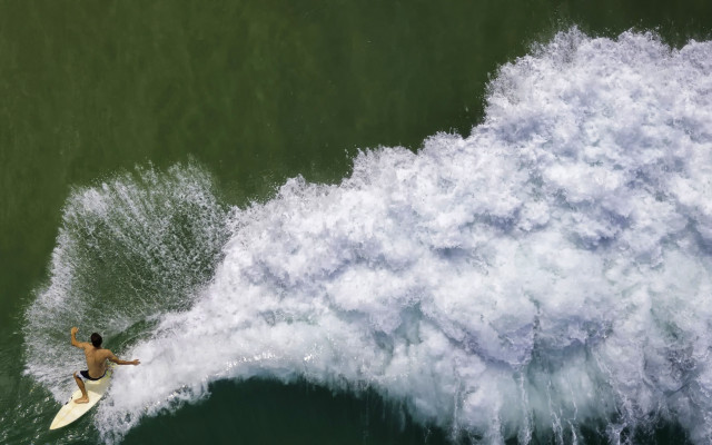 Surfing man wave ocean berry free wallpaper - medium preview image
