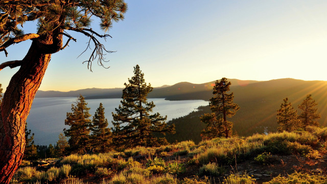 Tree hill lake sunset autumn free wallpaper - medium preview image