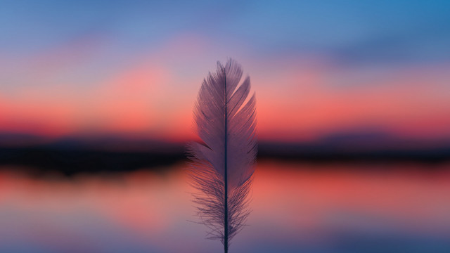 Feather table lake sunset pink free wallpaper - medium preview image