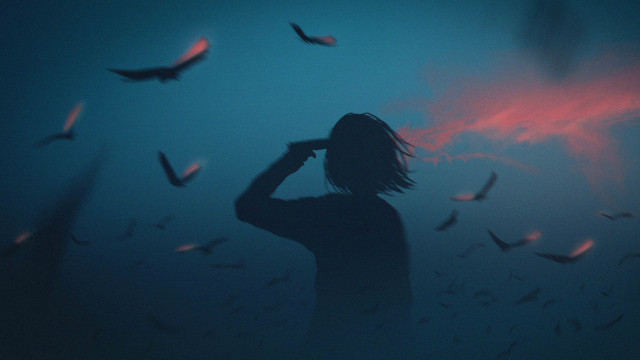 Person bird flock red light free wallpaper - medium preview image