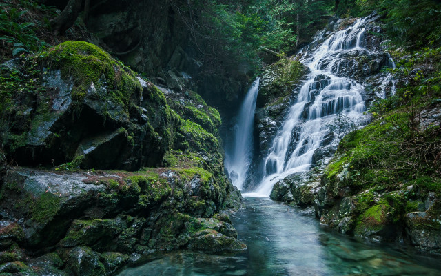 Waterfall forest moss rocks stream free wallpaper - medium preview image