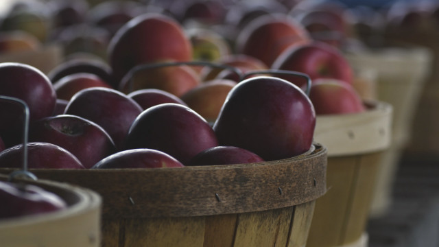 Baskets apples shallow depth tiltshift free wallpaper - medium preview image