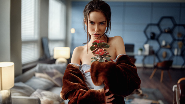 Eszter mattioni teddy bear portrait free wallpaper - medium preview image