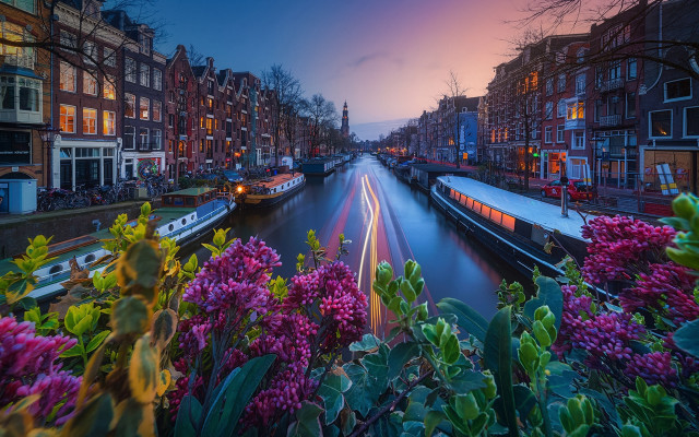 Canal flowers urban sunset architecture free wallpaper - medium preview image