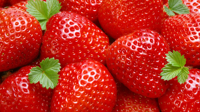 Strawberries greenleaves redbackground whiteborder precisionism free wallpaper - medium preview image