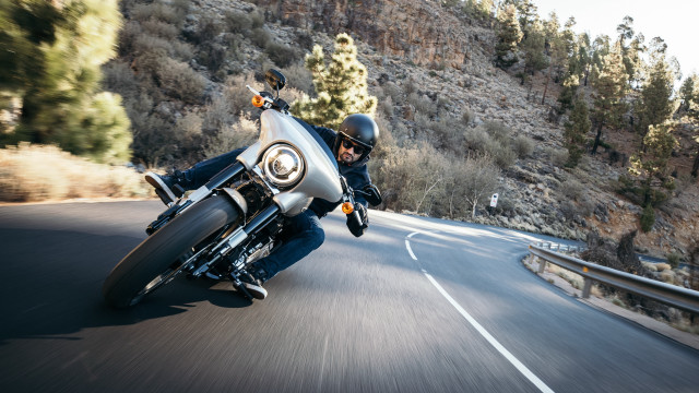 Man motorcycle curvy road forest #2 free wallpaper - medium preview image